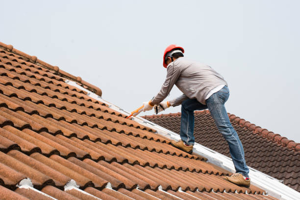 Professional Roofing servicies in Tanglewilde, WA